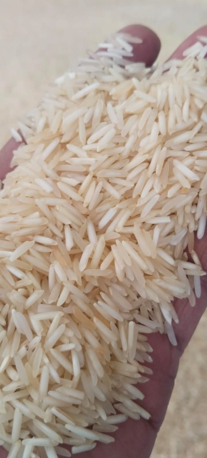 Rice For Sale