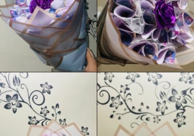 WhatsApp-Image-2026-03-17-at-2.10.30-PM