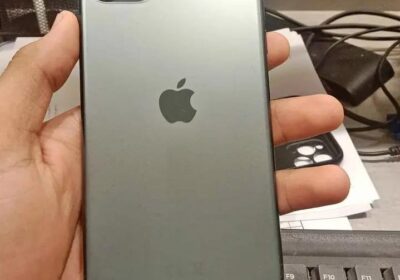 WhatsApp-Image-2026-03-24-at-1.19.08-PM