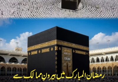 WhatsApp-Image-2026-03-24-at-12.22.47-PM