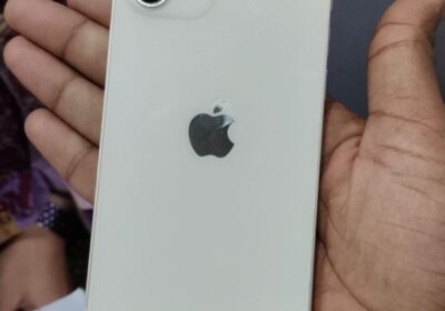 WhatsApp-Image-2026-03-24-at-2.11.39-PM-1