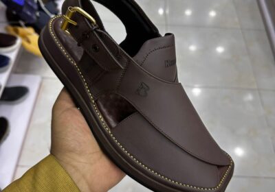 WhatsApp-Image-2026-03-24-at-3.20.05-PM-1