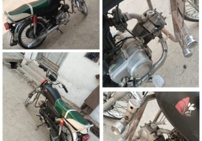 WhatsApp-Image-2026-03-24-at-7.41.43-PM