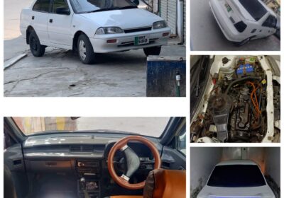 WhatsApp-Image-2026-03-28-at-2.50.45-PM