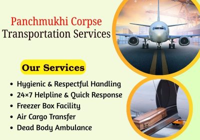 6244709344478350895-1