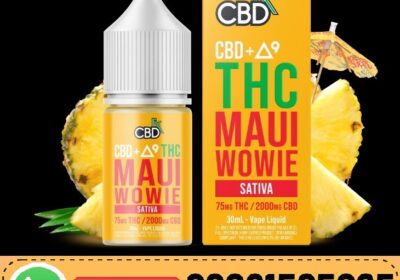 Screenshot-2026-02-23-111522