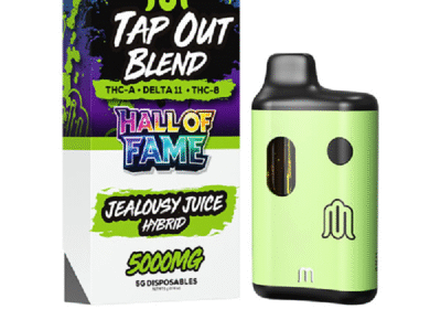 modus-hall-of-fame-tap-out-blend-disposable-vape-5g-in-pakistan-1