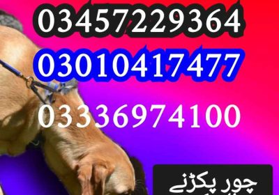 1000057283