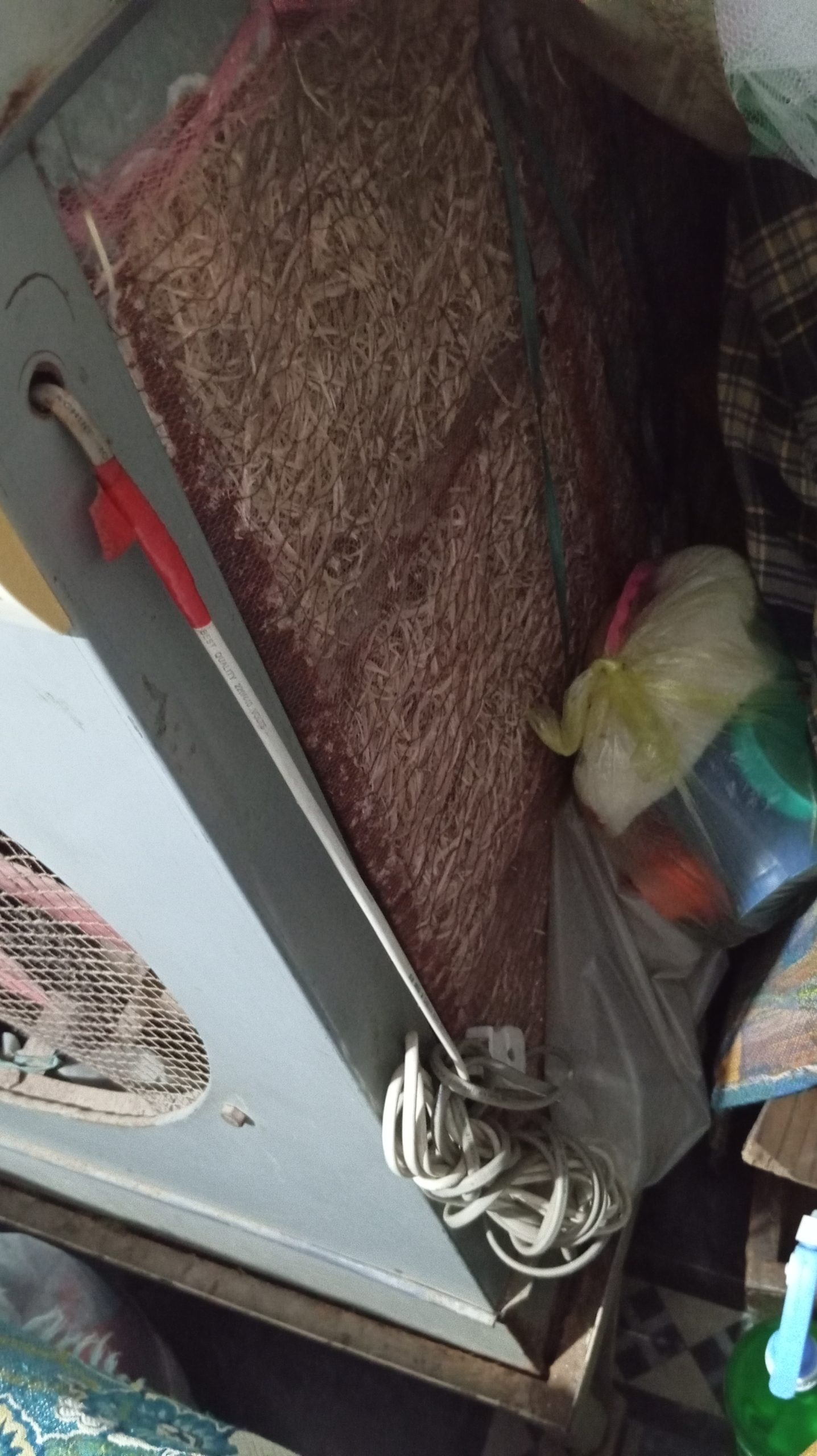 Air cooler