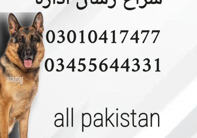 1779389065972