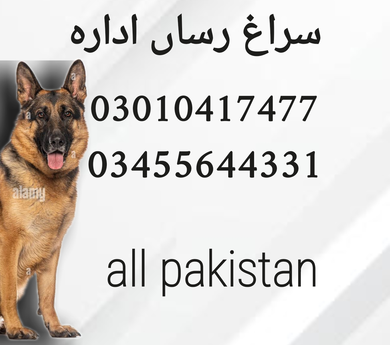 Army dog center 03455644331