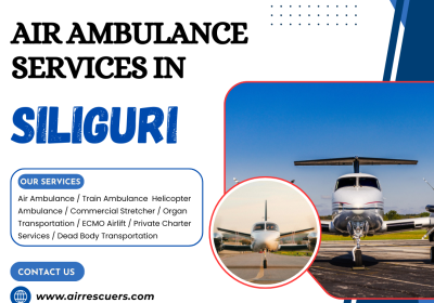 Air-Ambulance-Services-in-Siliguri-8