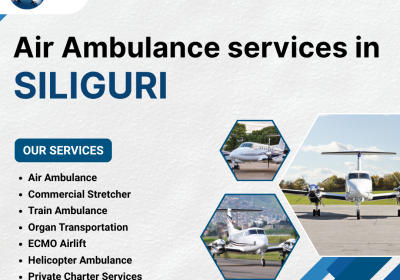 Air-Ambulance-services-in-Siliguri-2