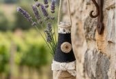 Decorative plant bottle