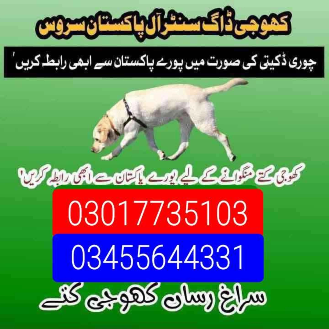 Army dog center 03455644331