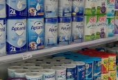 wholesale baby milk powder