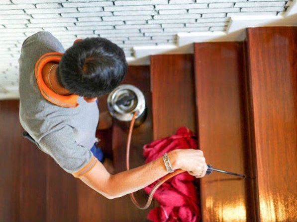 Termite Spraying Service In Karachi