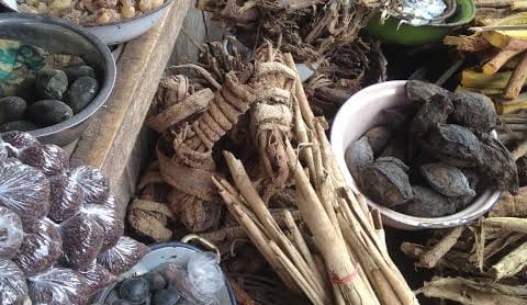TRADITIONAL HEALER IN Newcastle [+27826623707]] ⓶SANGOMA / SPIRITUAL HEALER in Amanzimtoti, Bergville, Blouberg, Eshowe, Estcourt, Hluhluwe, Howick, Kokstad, Matatiele, Melmotho, Mooi River, Mankweng , Nongoma, Phoenix, Pinetown, Port Shepstone, Richards bay, Richmond, Scottsburgh, Stanger, Utrecht, Verulam, Vryheid, Westville, South Africa