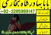 no1 italy amil baba number best specialist in uk usa uae london