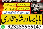 no1 italy amil baba number best specialist in uk usa uae london
