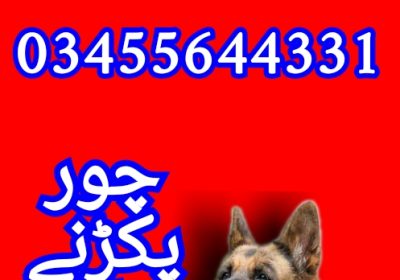 1780994809450-3