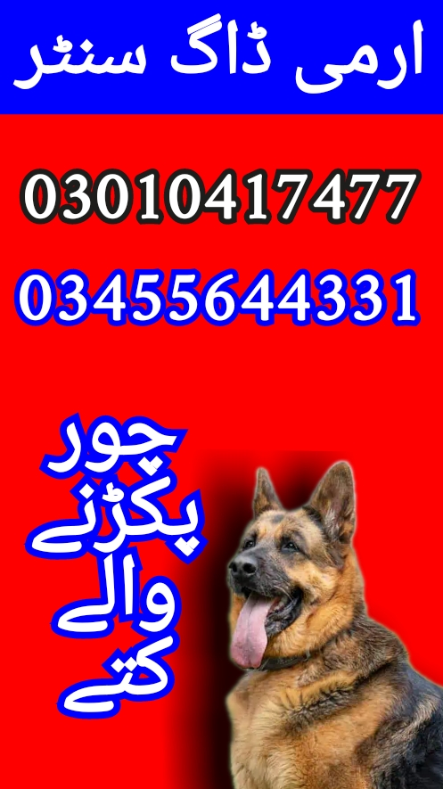 Army dog center 03455644331