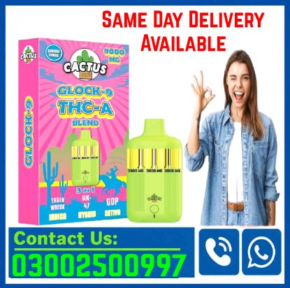 Cactus THC Vape Price 3 in 1 Karachi | 03002500997 – Sale