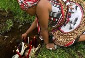 Let success & prosperity flow into your life using money spells to attract wealth & increase your luck with money