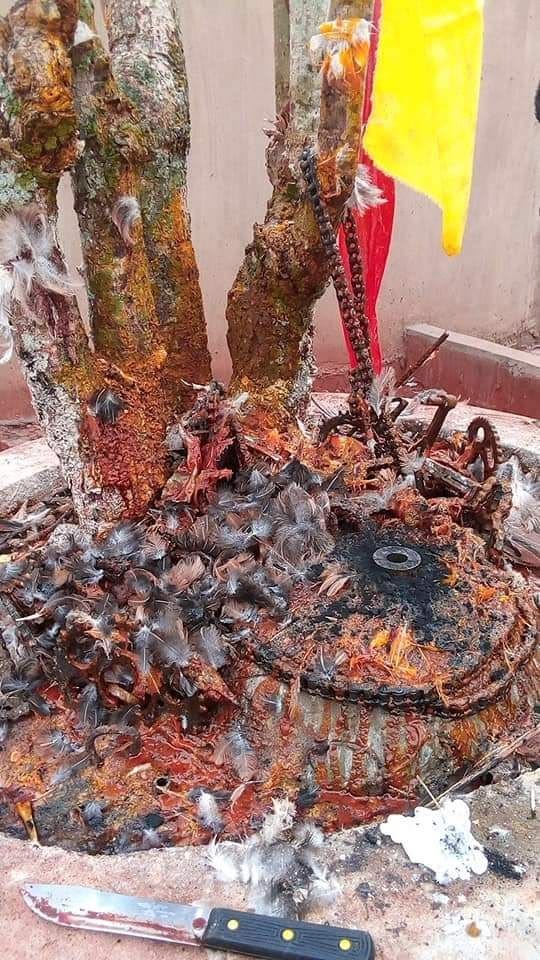 +2348167256910 #i want to join secrets occult for money rituals power and fame