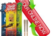 Flying Monkey Boutique Collectioin In Peshawar – 03001376364 – Buy Now