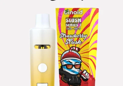 binoid-7g-disposable-or-thca-delta-9-or-strawberry-slush-slush-series-7-by-binoid__62013