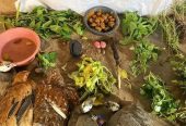 The Most powerful SpirItual Herbalist Native Doctor IN Nigeria+2349159450040