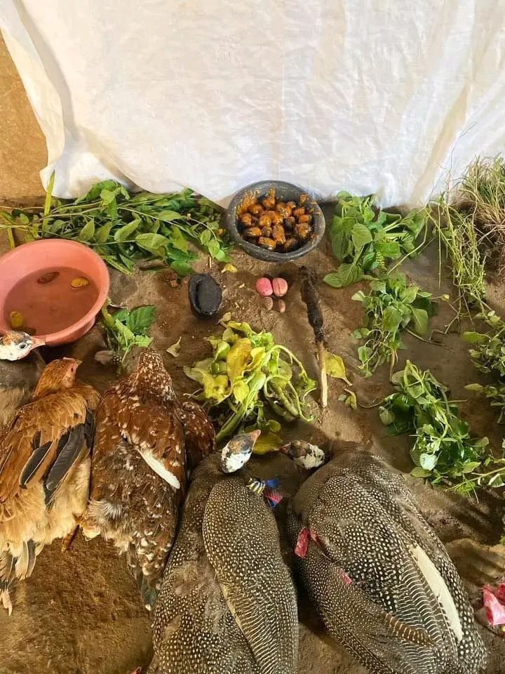 The Most powerful SpirItual Herbalist Native Doctor IN Nigeria+2349159450040