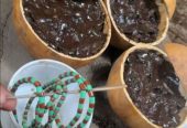 The Best Powerful SpirItual Herbalist Native Doctor IN Nigeria+2349159450040