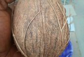 The most powerful spiritual herbalist in Nigeria+2348117409635