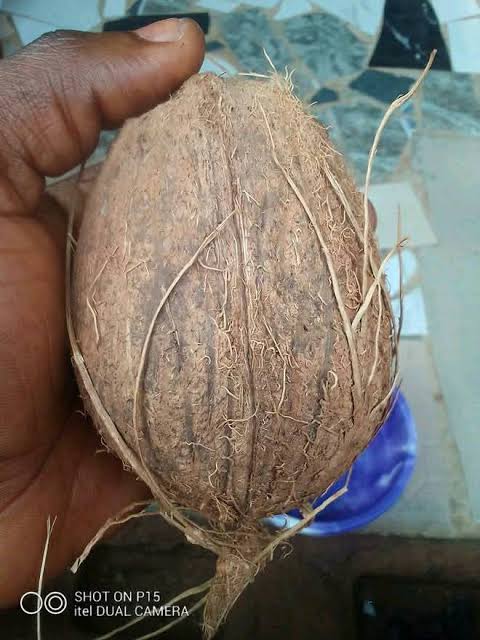 The most powerful spiritual herbalist in Nigeria+2348117409635