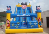 Jumping Castle | Kids Castle | Max Inflatable | Swings | Slides | Arch