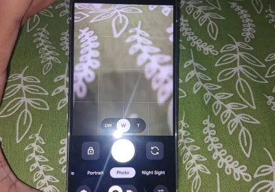 651077243-800×600-1