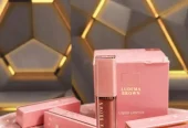LUDEMA BROWN Liquid Lipstick