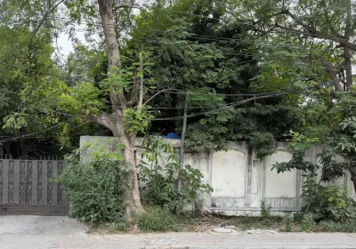 653246158-800×600-1