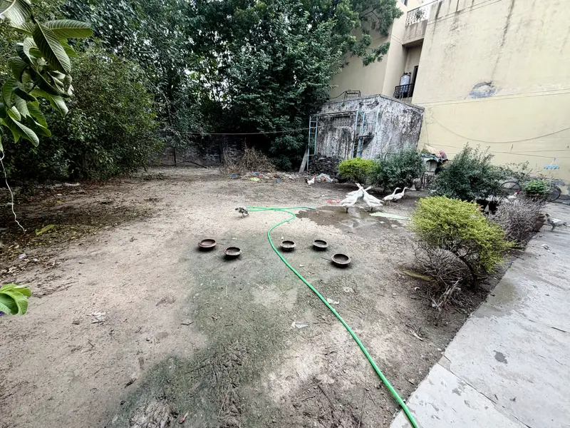 fo2 Kanal House r Sale in Gulberg 3