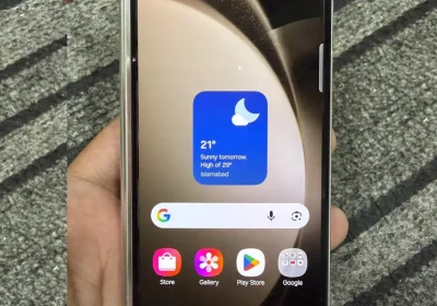 654191878-800×600-1