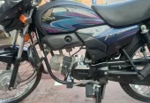 priodor 100cc
