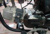 priodor 100cc