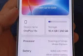ONE PLUS 13S 12/256 OFFICIAL PTA