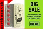Indian Black Cobra 200 In Faisalabad – 03002500997 & Buy