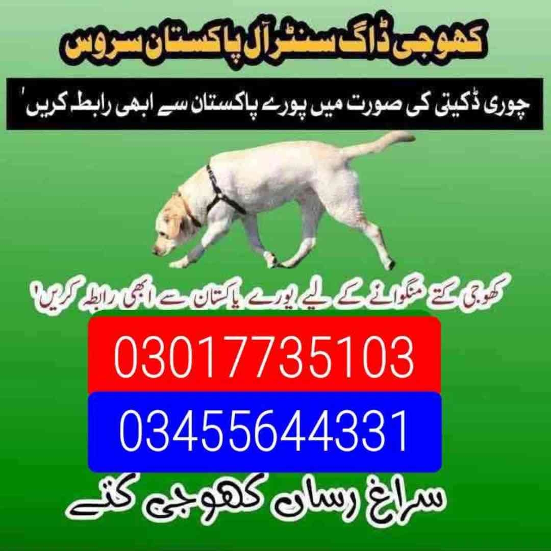 Army dog center (03017735103)