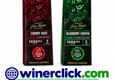 The_1010_Boys_Disposable_THC_Vape_2G_In_Pakistan-1-3